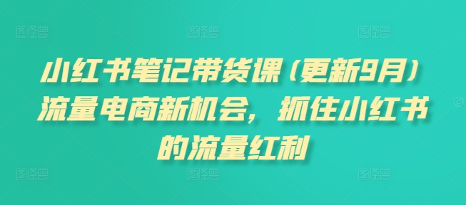 小红书笔记带货课(更新9月)流量电商新机会，抓住小红书的流量红利 - 网赚资源网-网赚资源网