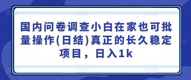 国内问卷调查小白在家也可批量操作(日结)真正的长久稳定项目，日入1k【揭秘】 - 网赚资源网-网赚资源网