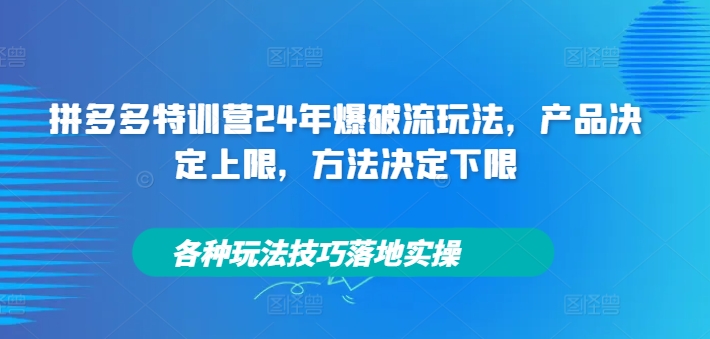 拼多多特训营24年爆破流玩法，产品决定上限，方法决定下限，各种玩法技巧落地实操 - 网赚资源网-网赚资源网