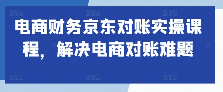 电商财务京东对账实操课程，解决电商对账难题 - 网赚资源网-网赚资源网