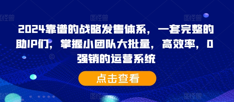 2024靠谱的战略发售体系，一套完整的助IP们，掌握小团队大批量，高效率，0 强销的运营系统 - 网赚资源网-网赚资源网