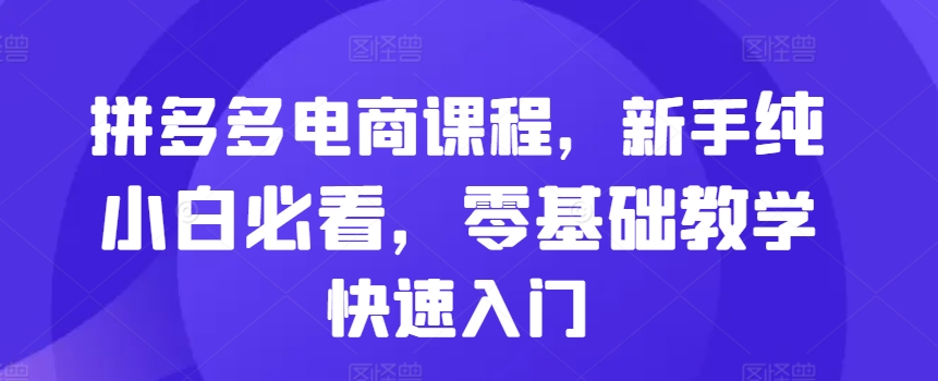 拼多多电商课程，新手纯小白必看，零基础教学快速入门 - 网赚资源网-网赚资源网