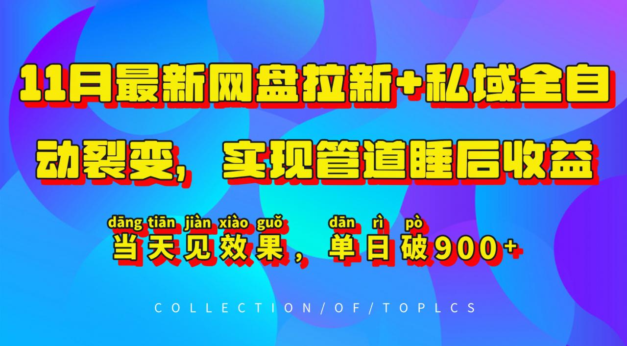 11月最新网盘拉新+私域全自动裂变，实现管道睡后收益，当天见效果，单日破900+ - 网赚资源网-网赚资源网