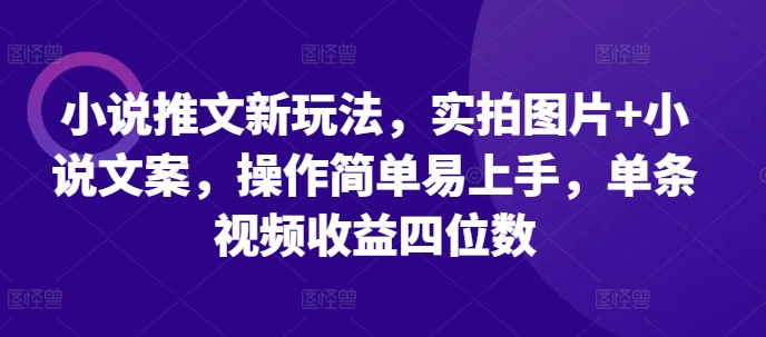 小说推文新玩法，实拍图片+小说文案，操作简单易上手，单条视频收益四位数 - 网赚资源网-网赚资源网