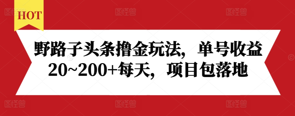 野路子头条撸金玩法，单号收益20~200+每天，项目包落地 - 网赚资源网-网赚资源网