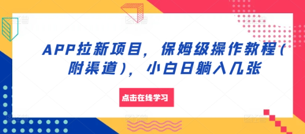 APP拉新项目，保姆级操作教程(附渠道)，小白日躺入几张【揭秘】 - 网赚资源网-网赚资源网