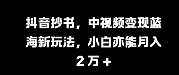 抖音抄书，中视频变现蓝海新玩法，小白亦能月入 过W【揭秘】 - 网赚资源网-网赚资源网