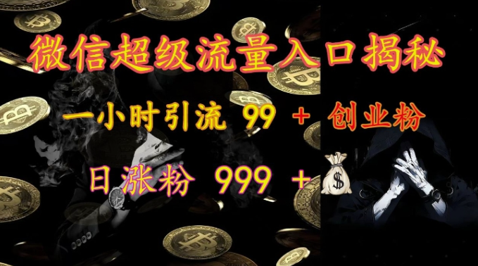 微信超级流量入口揭秘：一小时引流 99 + 创业粉，日涨粉 999 + - 网赚资源网-网赚资源网