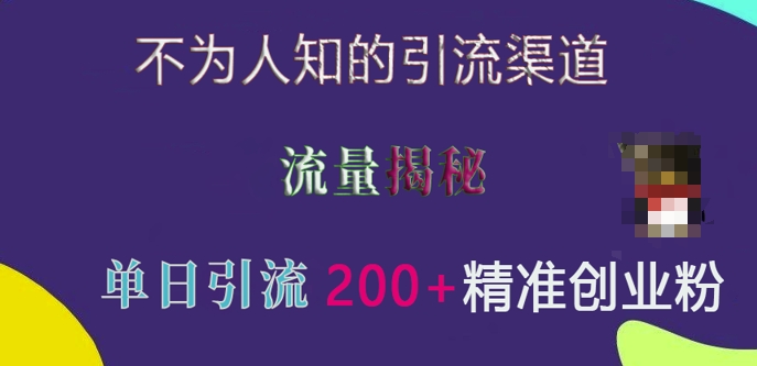 不为人知的引流渠道，流量揭秘，实测单日引流200+精准创业粉【揭秘】 - 网赚资源网-网赚资源网