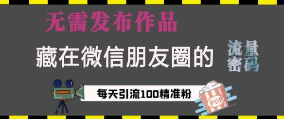 藏在微信朋友圈的流量密码，无需发布作品，单日引流100+精准创业粉【揭秘】 - 网赚资源网-网赚资源网