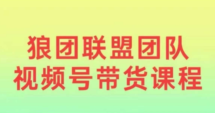 狼团联盟2024视频号带货，0基础小白快速入局视频号 - 网赚资源网-网赚资源网