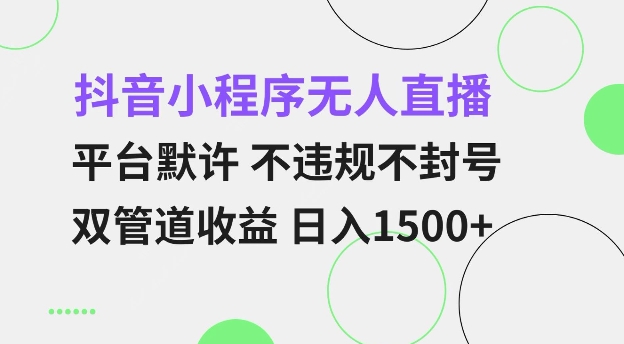 抖音小程序无人直播 平台默许 不违规不封号 双管道收益 日入多张 小白也能轻松操作【仅揭秘】 - 网赚资源网-网赚资源网