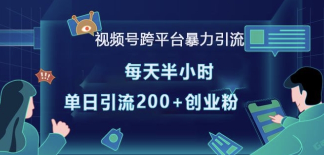 视频号跨平台暴力引流，每天半小时，单日引流200+精准创业粉 - 网赚资源网-网赚资源网