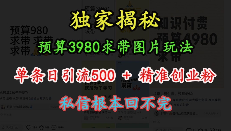 预算3980求带 图片玩法，单条日引流500+精准创业粉，私信根本回不完 - 网赚资源网-网赚资源网