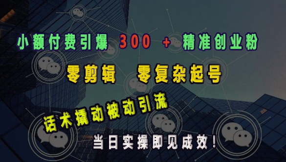 小额付费引爆 300 + 精准创业粉，零剪辑、零复杂起号，话术撬动被动引流，当日实操即见成效 - 网赚资源网-网赚资源网