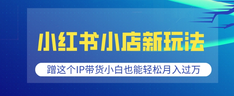 小红书小店新玩法，蹭这个IP带货，小白也能轻松月入过W【揭秘】 - 网赚资源网-网赚资源网