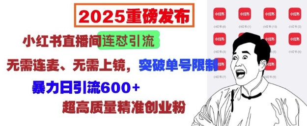 2025重磅发布：小红书直播间连怼引流，无需连麦、无需上镜，突破单号限制，暴力日引流600+ - 网赚资源网-网赚资源网