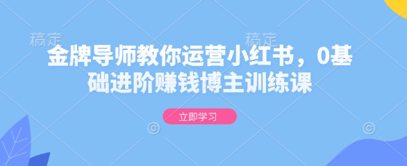 金牌导师教你运营小红书，0基础进阶赚钱博主训练课 - 网赚资源网-网赚资源网