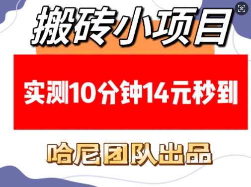 搬砖小项目，实测10分钟14元秒到，每天稳定几张(赠送必看稳定) - 网赚资源网-网赚资源网