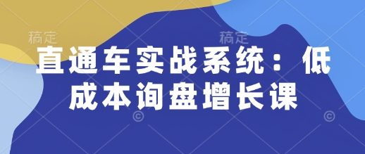 直通车实战系统：低成本询盘增长课，让个人通过技能实现升职加薪，让企业低成本获客，订单源源不断 - 网赚资源网-网赚资源网