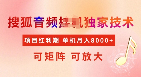 全网首发搜狐音频挂JI独家技术，项目红利期，可矩阵可放大，稳定月入8k【揭秘】 - 网赚资源网-网赚资源网