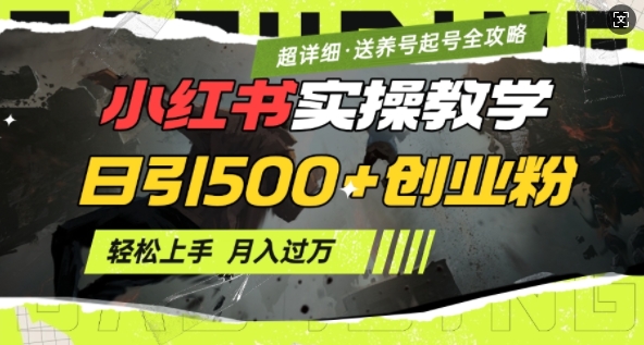 2月小红书最新日引500+创业粉实操教学【超详细】小白轻松上手，月入1W+，附小红书养号起号SOP - 网赚资源网-网赚资源网