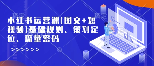 小红书运营课(图文+短视频)基础规则、策划定位、流量密码 - 网赚资源网-网赚资源网