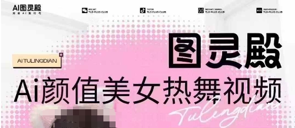 全网首发，原价988图灵殿AI颜值美女热舞视频，云端生图，轻松过原创 - 网赚资源网-网赚资源网