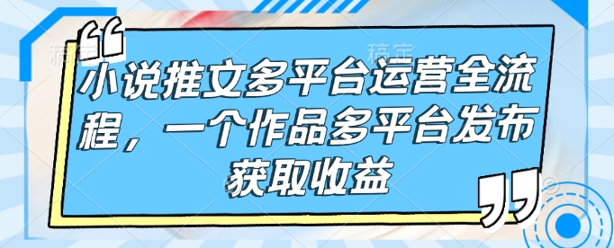 小说推文多平台运营全流程，一个作品多平台发布获取收益 - 网赚资源网-网赚资源网