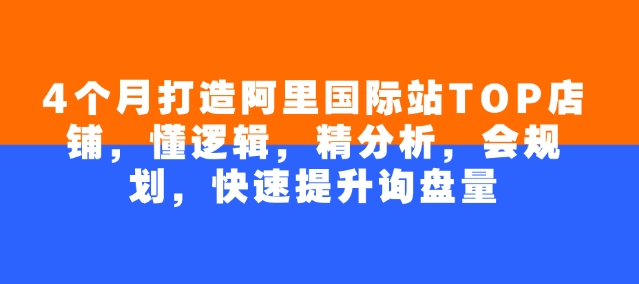 4个月打造阿里国际站TOP店铺，懂逻辑，精分析，会规划，快速提升询盘量 - 网赚资源网-网赚资源网