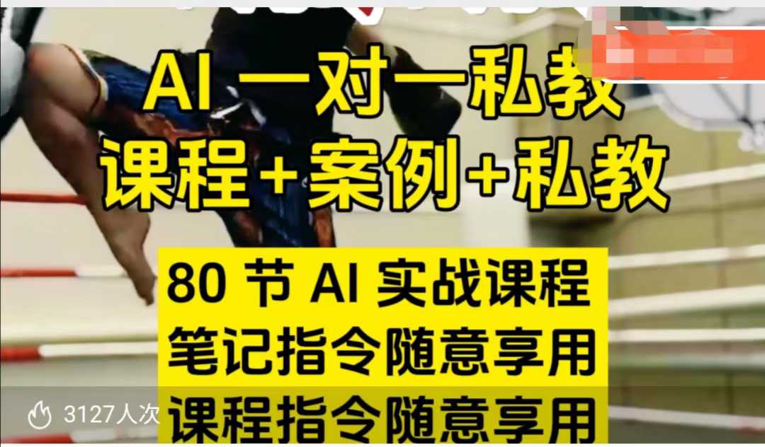 AI指令实战课，课程+案例，80节AI实战课程，笔记指令随意享用，课程指令随意享用 - 网赚资源网-网赚资源网