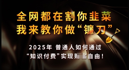 知识付费如何做到月入过W+，2025我来教你做“镰刀”【揭秘】 - 网赚资源网-网赚资源网