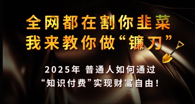 全网都在割你韭菜，我来教你做镰刀，2025年普通人如何通过 知识付费 实现财F自由【揭秘】 - 网赚资源网-网赚资源网