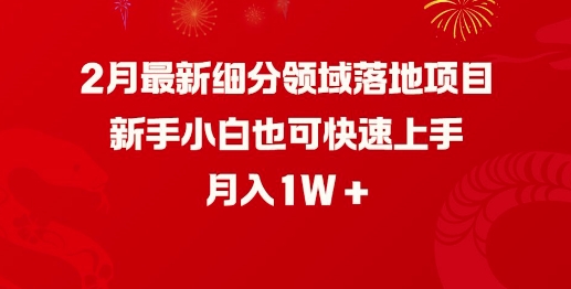 2月最新细分领域落地项目，新手小白也可快速上手，月入1W - 网赚资源网-网赚资源网