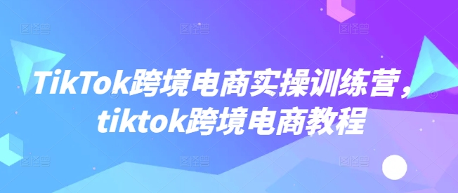 TikTok跨境电商实操训练营，tiktok跨境电商教程 - 网赚资源网-网赚资源网