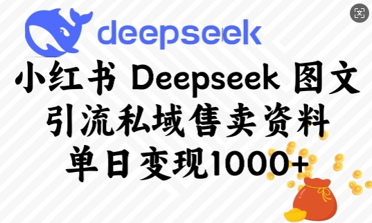 小红书Deepseek图文引流私域售卖资料，单日变现多张 - 网赚资源网-网赚资源网