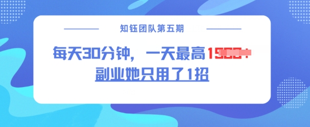 副业她只用了1招，每天30分钟，无脑二创，一天最高1.5k - 网赚资源网-网赚资源网