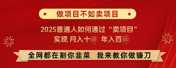 必看，做项目不如卖项目，2025普通人如何通过“卖项目”实现月入十个，年入百个 - 网赚资源网-网赚资源网