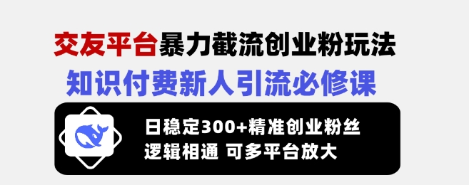 交友平台暴力截流创业粉玩法，知识付费新人引流必修课，日稳定300+精准创业粉丝，逻辑相通可多平台放大 - 网赚资源网-网赚资源网