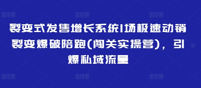 裂变式发售增长系统1场极速动销裂变爆破陪跑(闯关实操营)，引爆私域流量 - 网赚资源网-网赚资源网