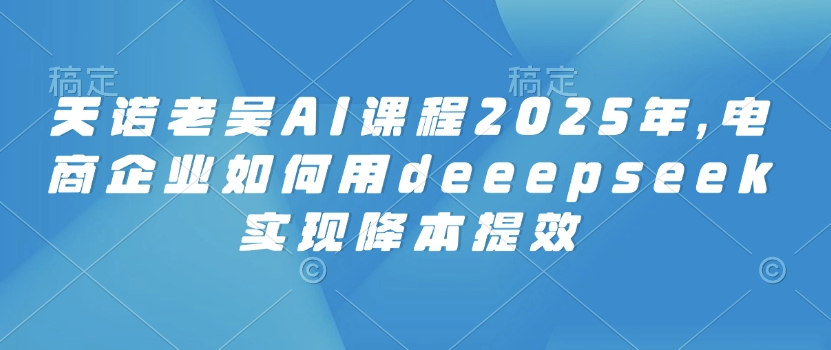 天诺老吴AI课程2025年，电商企业如何用deeepseek实现降本提效 - 网赚资源网-网赚资源网