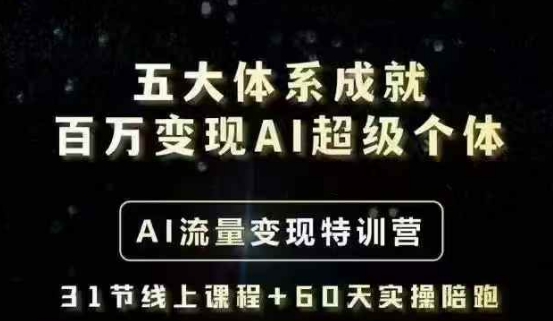 五大体系成就百万变现AI超级个体- AI流量变现特训营，一步一步教你一个人怎么年入百W - 网赚资源网-网赚资源网