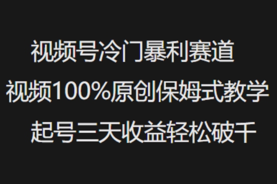 视频号冷门暴利赛道视频100%原创保姆式教学起号三天收益轻松破千 - 网赚资源网-网赚资源网