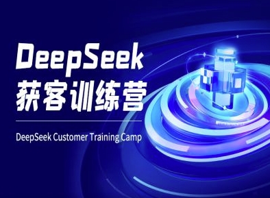 DeepSeek获客训练营-ai电商教程-网赚资源网