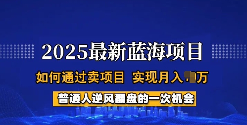 2025蓝海项目，普通人如何通过卖项目，实现月入过W，全过程【揭秘】 - 网赚资源网-网赚资源网