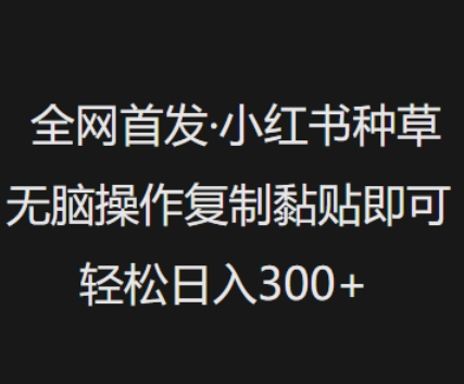 全网首发，小红书种草无脑操作，复制黏贴即可，轻松日入3张 - 网赚资源网-网赚资源网