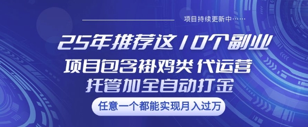 25年推荐这10个副业项目包含褂鸡类、代运营托管类、全自动打金类【揭秘】 - 网赚资源网-网赚资源网