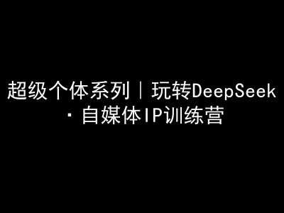 超级个体系列，玩转DeepSeek·自媒体IP训练营，deepseek教程 - 网赚资源网-网赚资源网