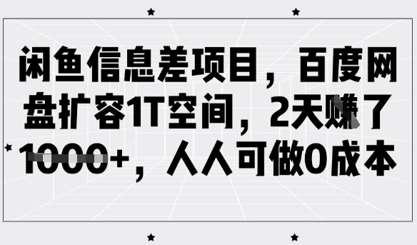 闲鱼信息差项目，百度网盘扩容1T空间，2天收益1k+，人人可做0成本 - 网赚资源网-网赚资源网