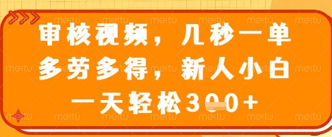 审核视频，几秒一单，多劳多得，新人小白一天轻松3张【揭秘】 - 网赚资源网-网赚资源网